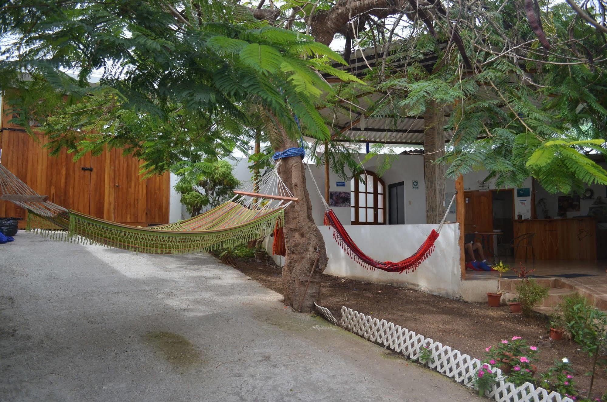 Hostal White House Galapagos Puerto Ayora  Bagian luar foto